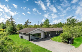 Amazing Home In Blåvand With Kitchen
